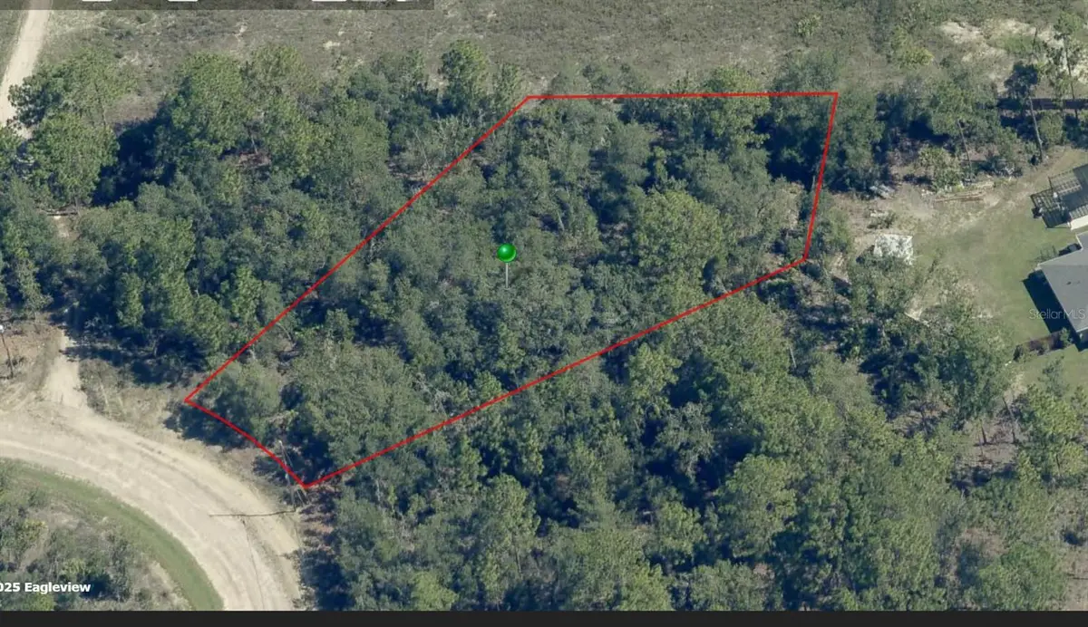 6701 N Darlington Drive, Citrus Springs, FL 34434 - #1