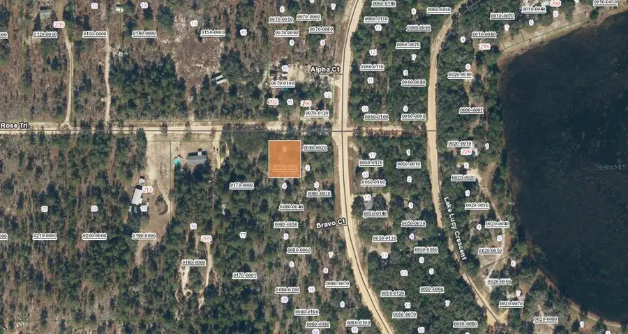 TBD Rose Trl, Interlachen, FL 32148 - #3