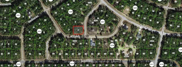 9294 N Rada Terrace, CITRUS SPRINGS, FL 34434
