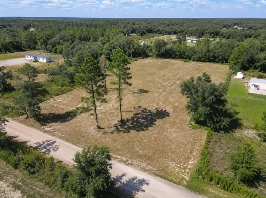 SW 160th St, Dunnellon, FL 34431 - #2