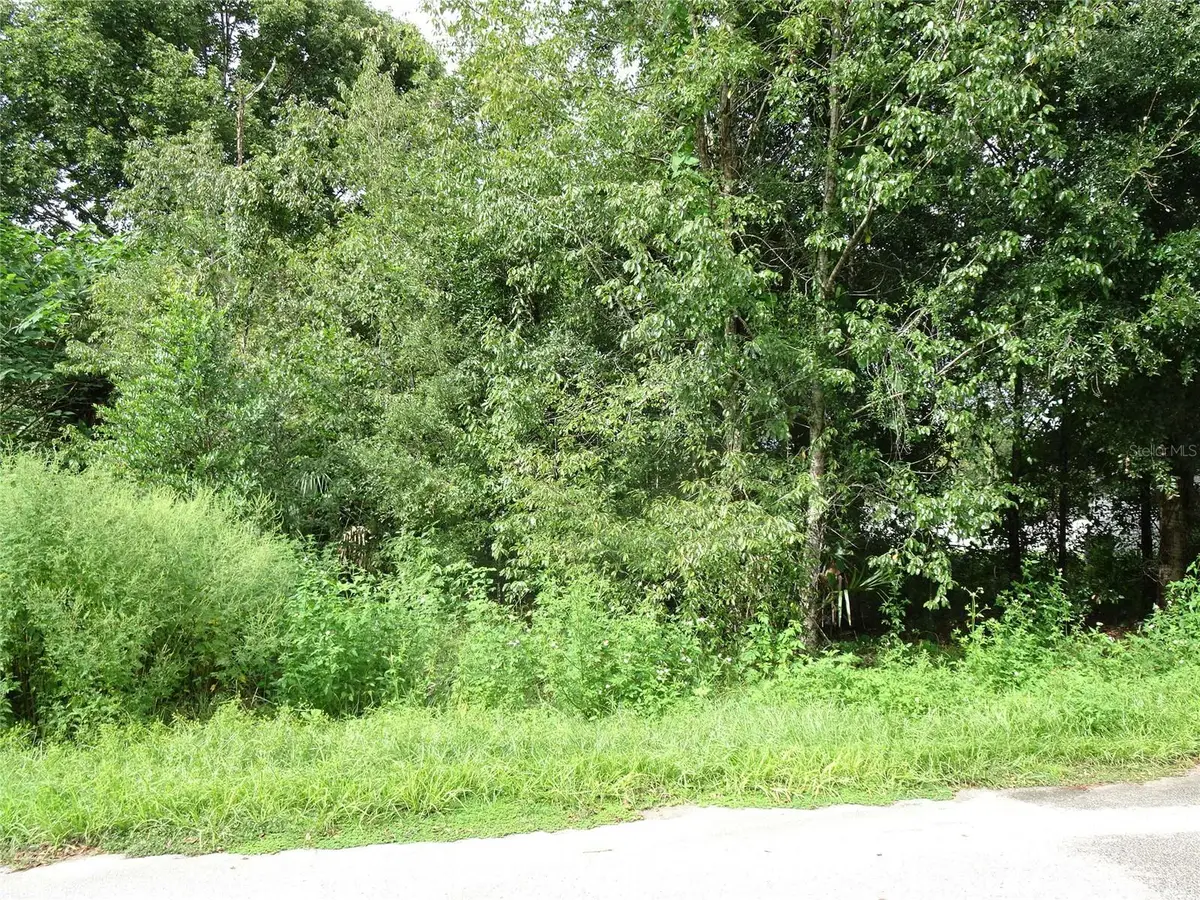 00 NW 67th Street, Ocala, FL 34475 - #1