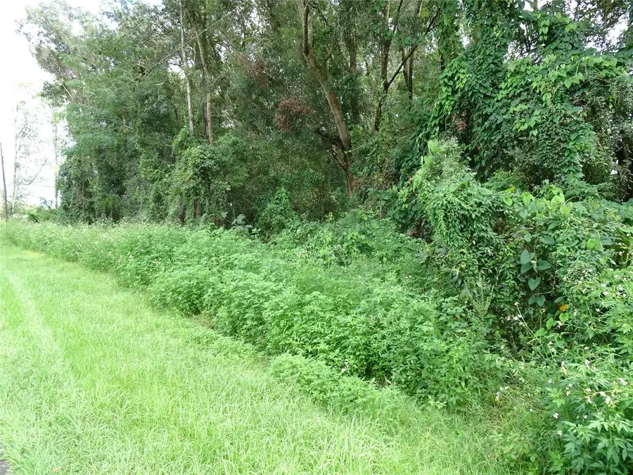 740 NW 67th Street, Ocala, FL 34475 - #2