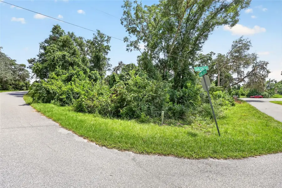 TBD Oak Circle Lane, Ocala, FL 34472 - #3