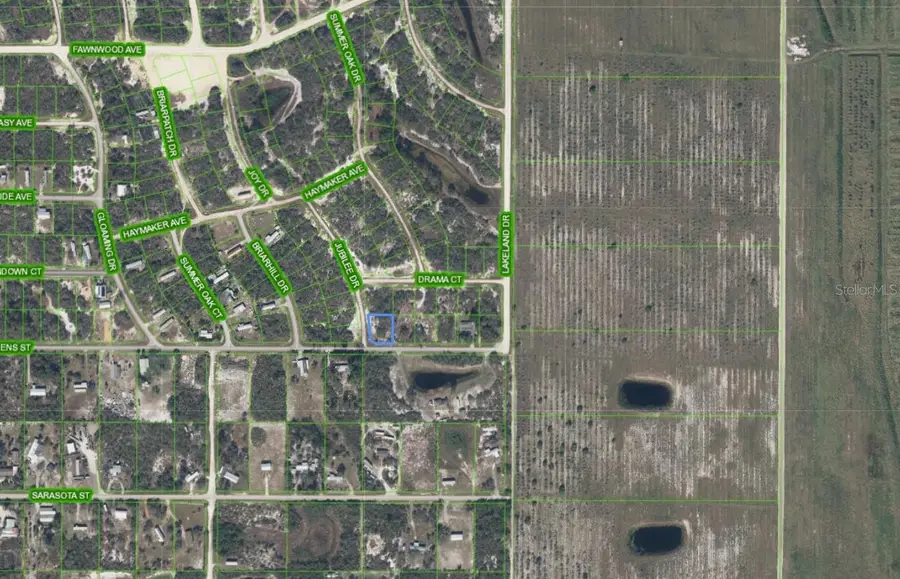 210 Impatiens Street, Lake Placid, FL 33852 - #2