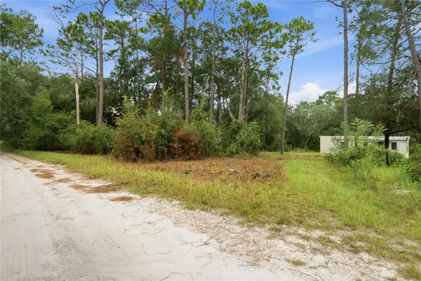 8565 SW 156th Place, DUNNELLON, FL 34432