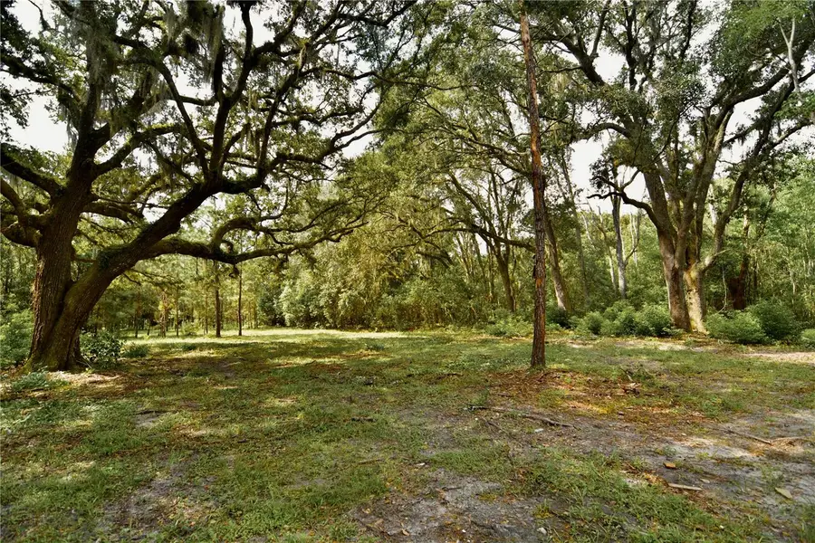 18709 NE Us Highway 301, Waldo, FL 32694 - #2