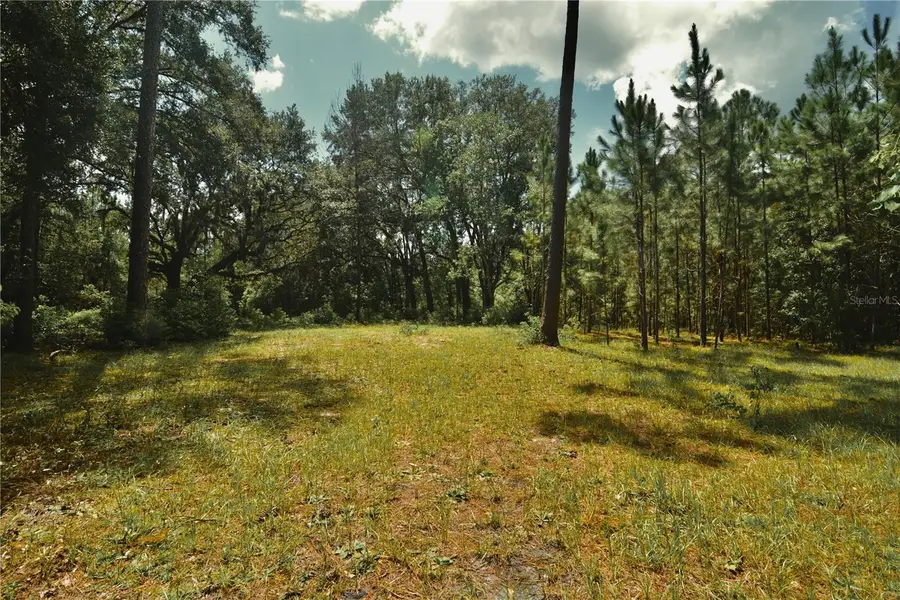 18709 NE Us Highway 301, Waldo, FL 32694 - #3