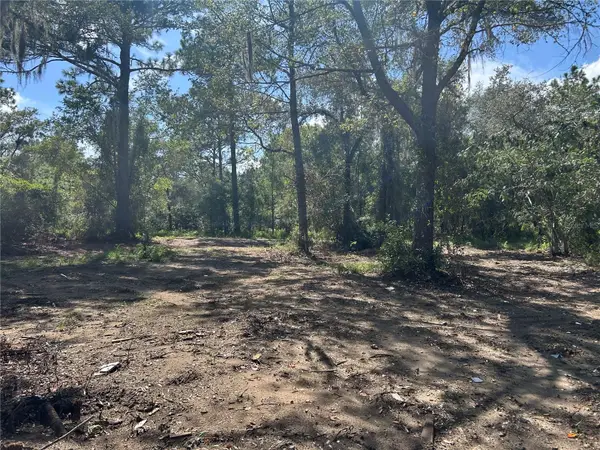1631 NE 123rd Terrace, WILLISTON, FL 32696