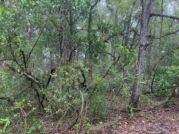 177 N Oakwood Terrace, INVERNESS, FL 34453