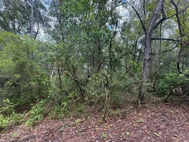 177 N Oakwood Terrace, Inverness, FL 34453 - #2