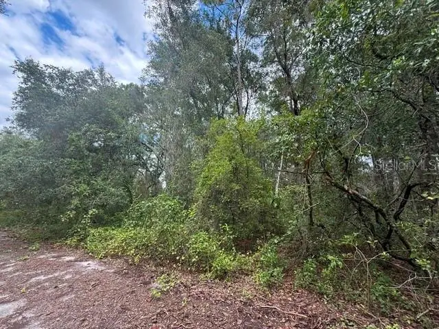 177 N Oakwood Terrace, Inverness, FL 34453 - #3