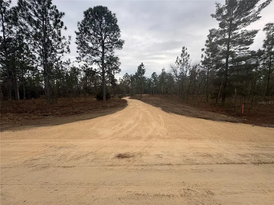 SE 4th Street, Williston, FL 32696 - #2