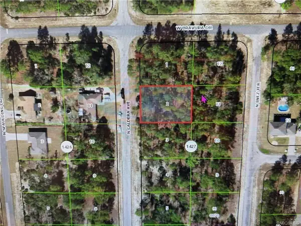 10585 N Caldera Avenue, CITRUS SPRINGS, FL 34433