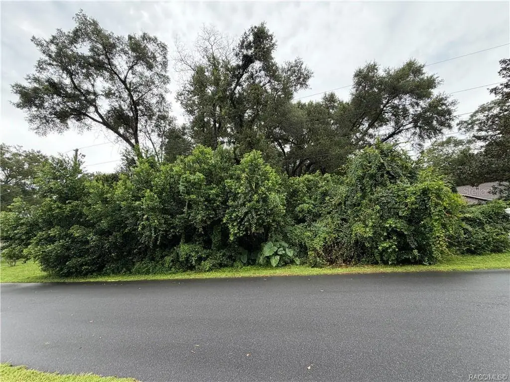 6140 E Ivy Lane, Inverness, FL 34452 - #1
