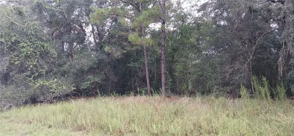 1623 E Ivydale Drive, CITRUS SPRINGS, FL 34434