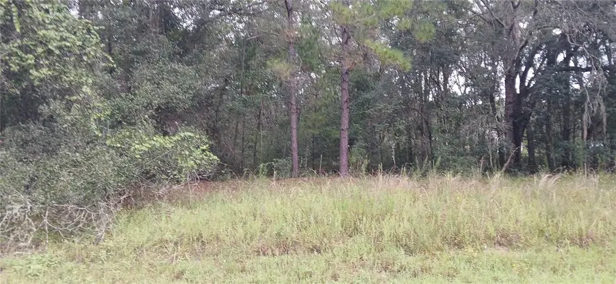 1623 E Ivydale Drive, Citrus Springs, FL 34434 - #2