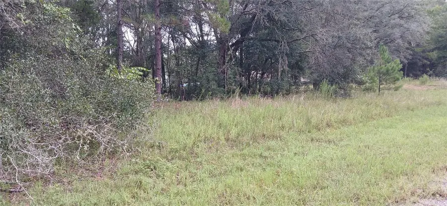 1623 E Ivydale Drive, Citrus Springs, FL 34434 - #3