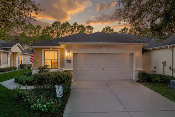 6630 SW 91st Circle, OCALA, FL 34481