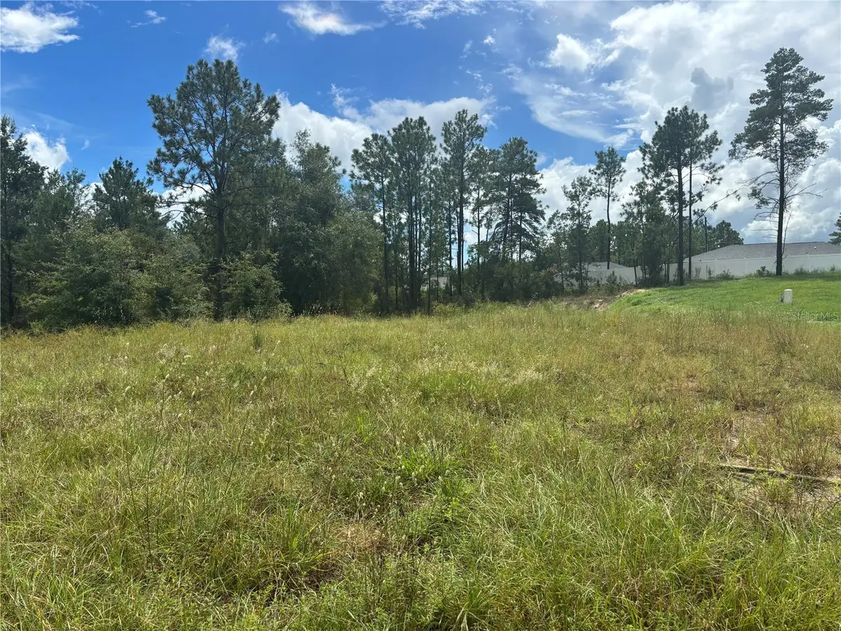 12828 SW 86 Circle, Ocala, FL 34473 - #1