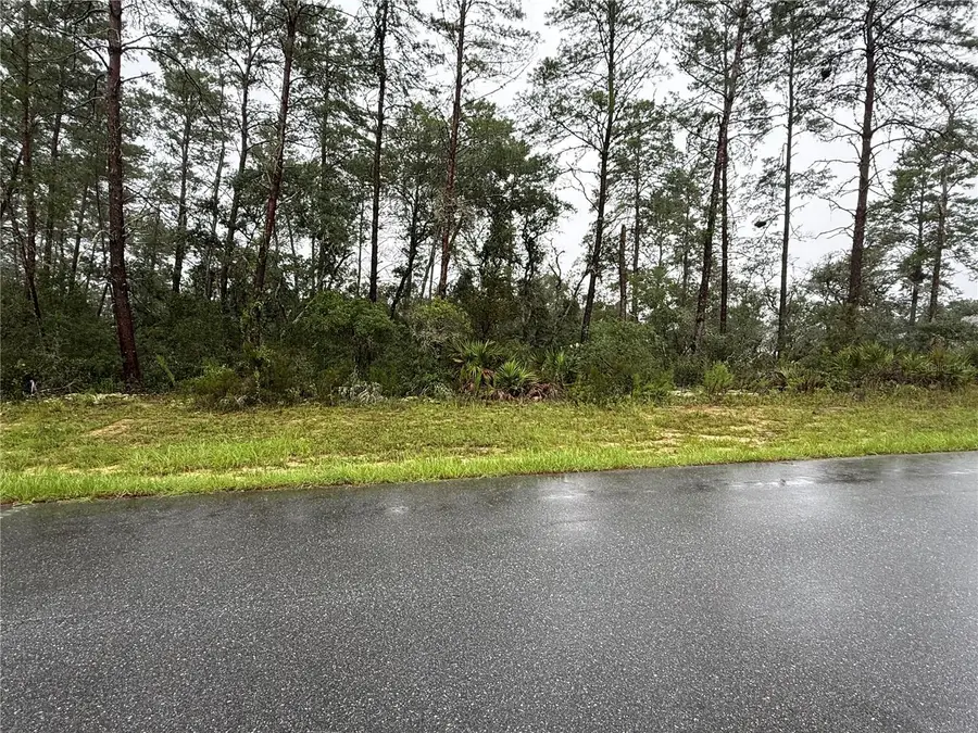 0 SW 176th Loop, Ocala, FL 34473 - #2