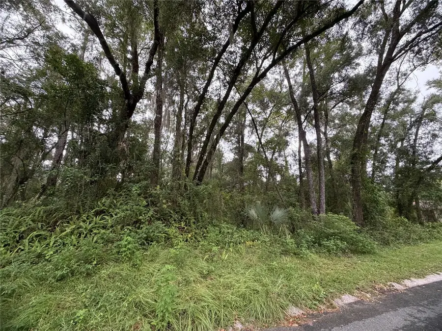 6033 E Dell Lane, Inverness, FL 34452 - #3