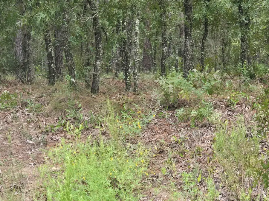 SW 76th Lane, Dunnellon, FL 34432 - #2