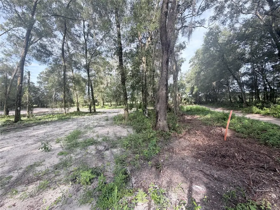 SW 150th, Dunnellon, FL 34432 - #2