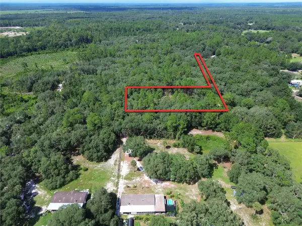 6870 NE 192nd Place, CITRA, FL 32113