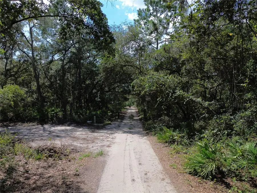 6870 NE 192nd Place, Citra, FL 32113 - #3