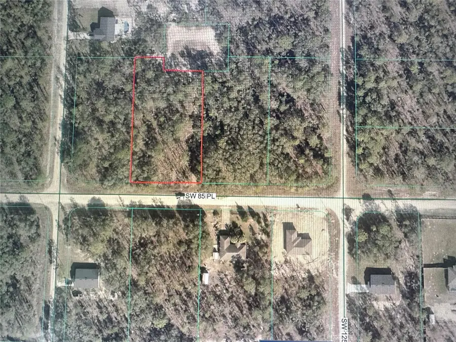 SW 85th Place, Dunnellon, FL 34432 - #2