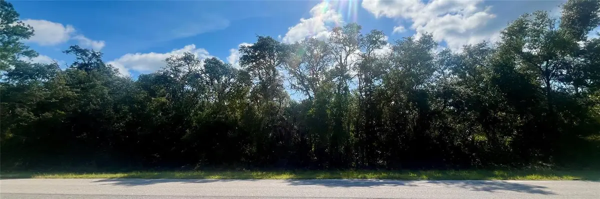 Tbd Fisher Road, Ocklawaha, FL 32179 - #1