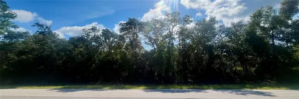 Tbd Fisher Road, OCKLAWAHA, FL 32179
