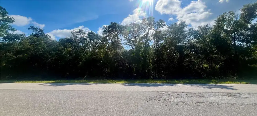 Tbd Fisher Road, Ocklawaha, FL 32179 - #2