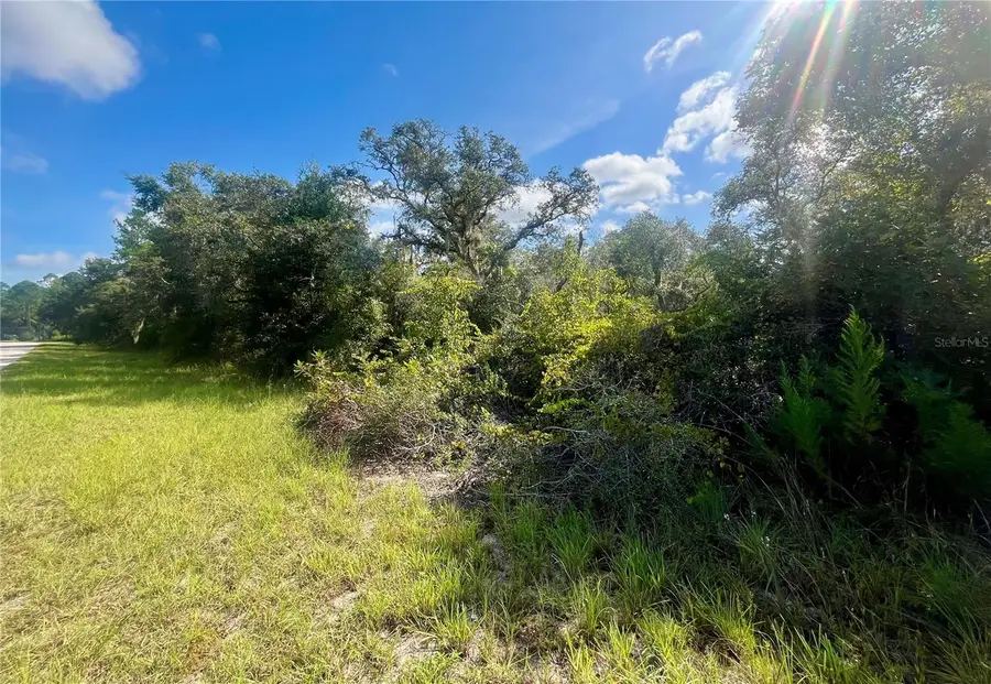 Tbd Fisher Road, Ocklawaha, FL 32179 - #3