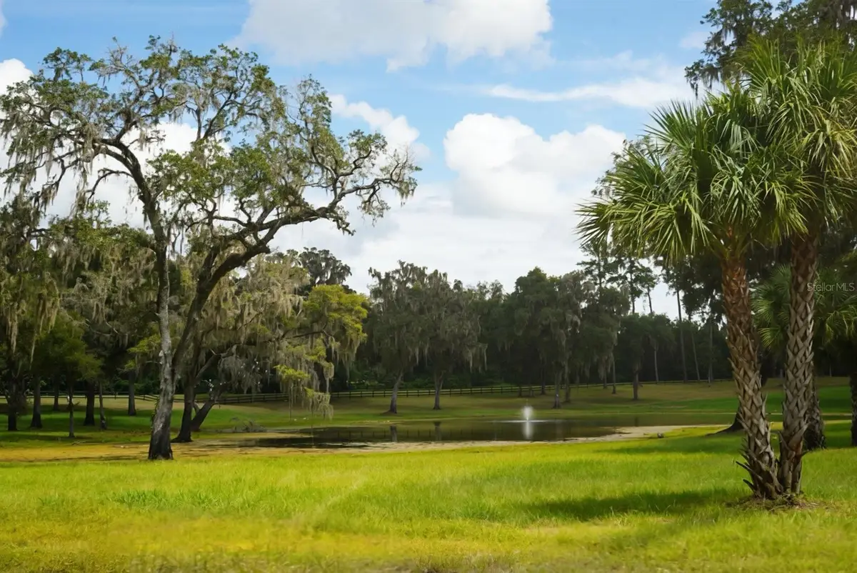 Nw 160th Street, Reddick, FL 32686 - #1