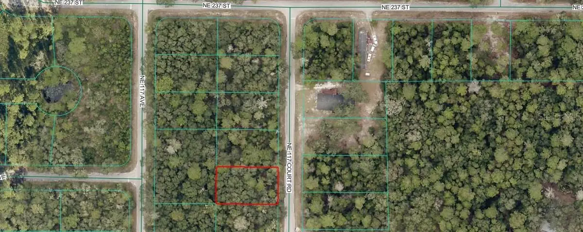 Ne 117th Court Road, Fort McCoy Anthony, FL 32134 - #1