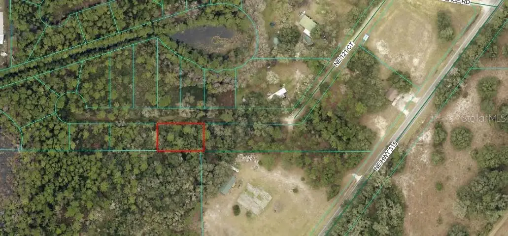 Ne 121 Ct, Fort McCoy Anthony, FL 32134 - #1