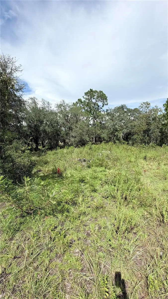 TBD NE 65th Street, Williston, FL 32696 - #1