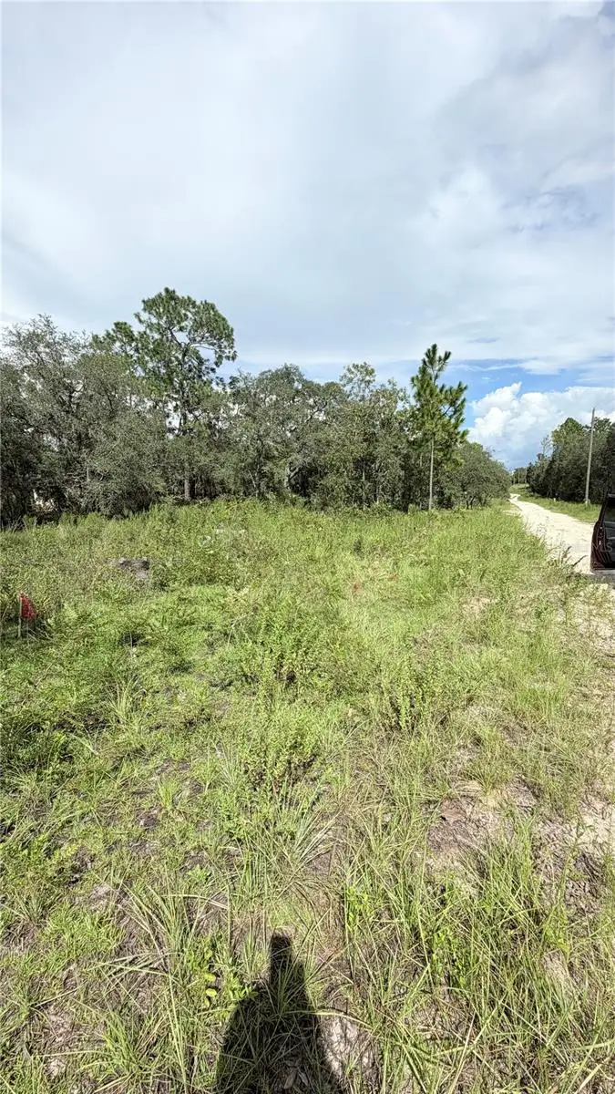 TBD NE 65th Street, Williston, FL 32696 - #2