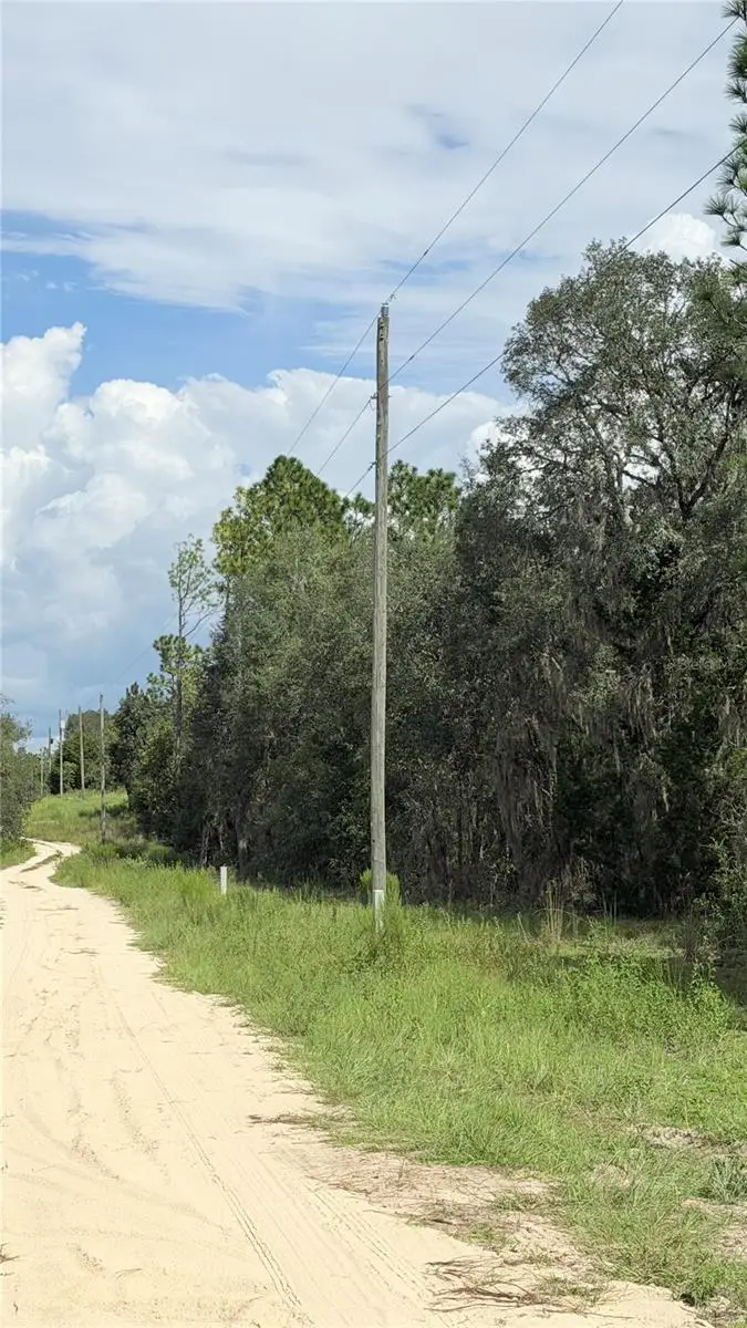 TBD NE 65th Street, Williston, FL 32696 - #3