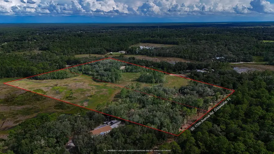 8253 SE 170th Ave Rd, Ocklawaha, FL 32179 - #3