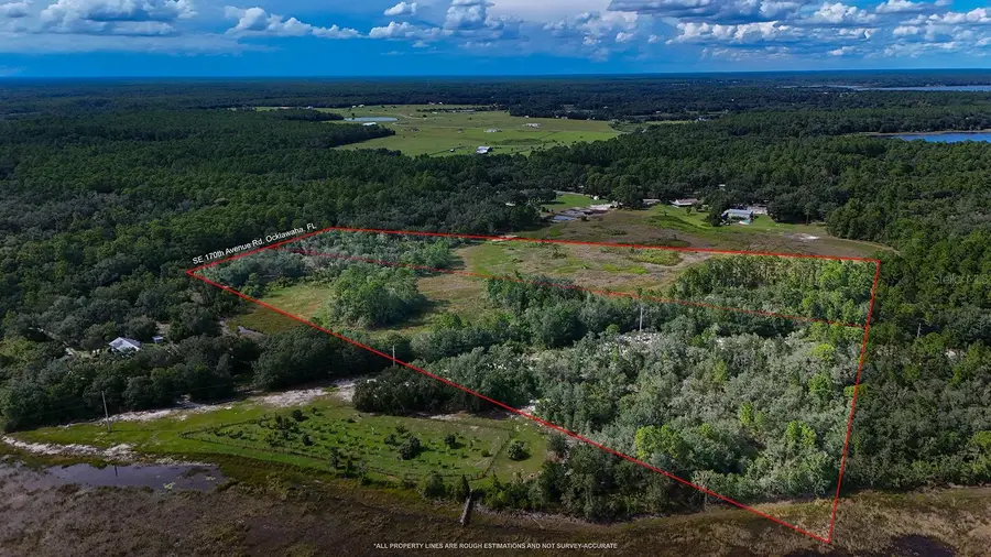 8303 SE 170th Ave Rd. N, Ocklawaha, FL 32179 - #3