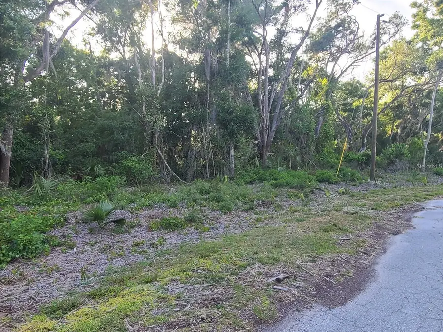 9840 N Snowball Point, Crystal River, FL 34428 - #3