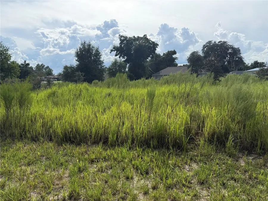 TBD Locust Pass Loop, Ocala, FL 34472 - #2