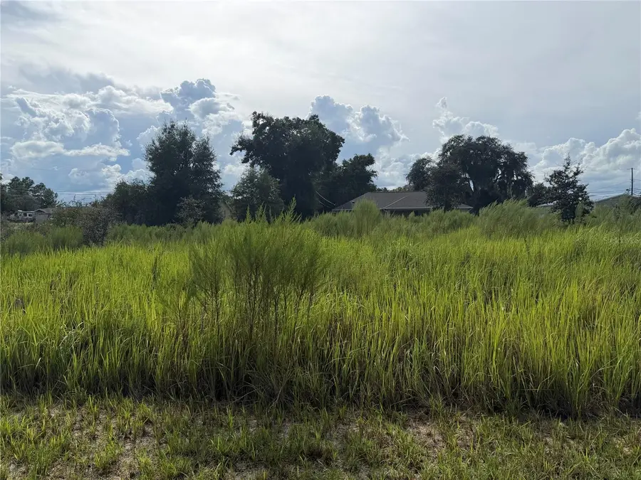 TBD Locust Pass Loop, Ocala, FL 34472 - #3