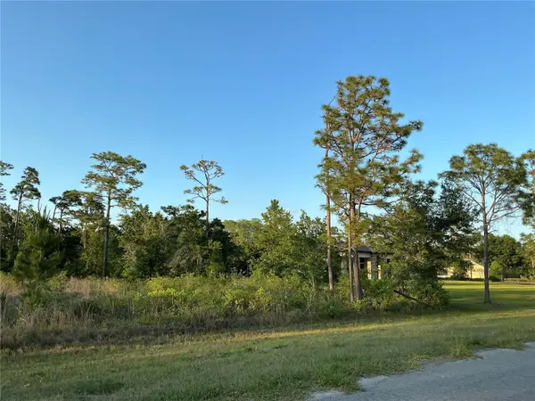 Reynolds Parkway, ORLANDO, FL 32833
