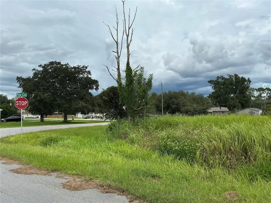 Pine Course Run, Ocala, FL 34472 - #3
