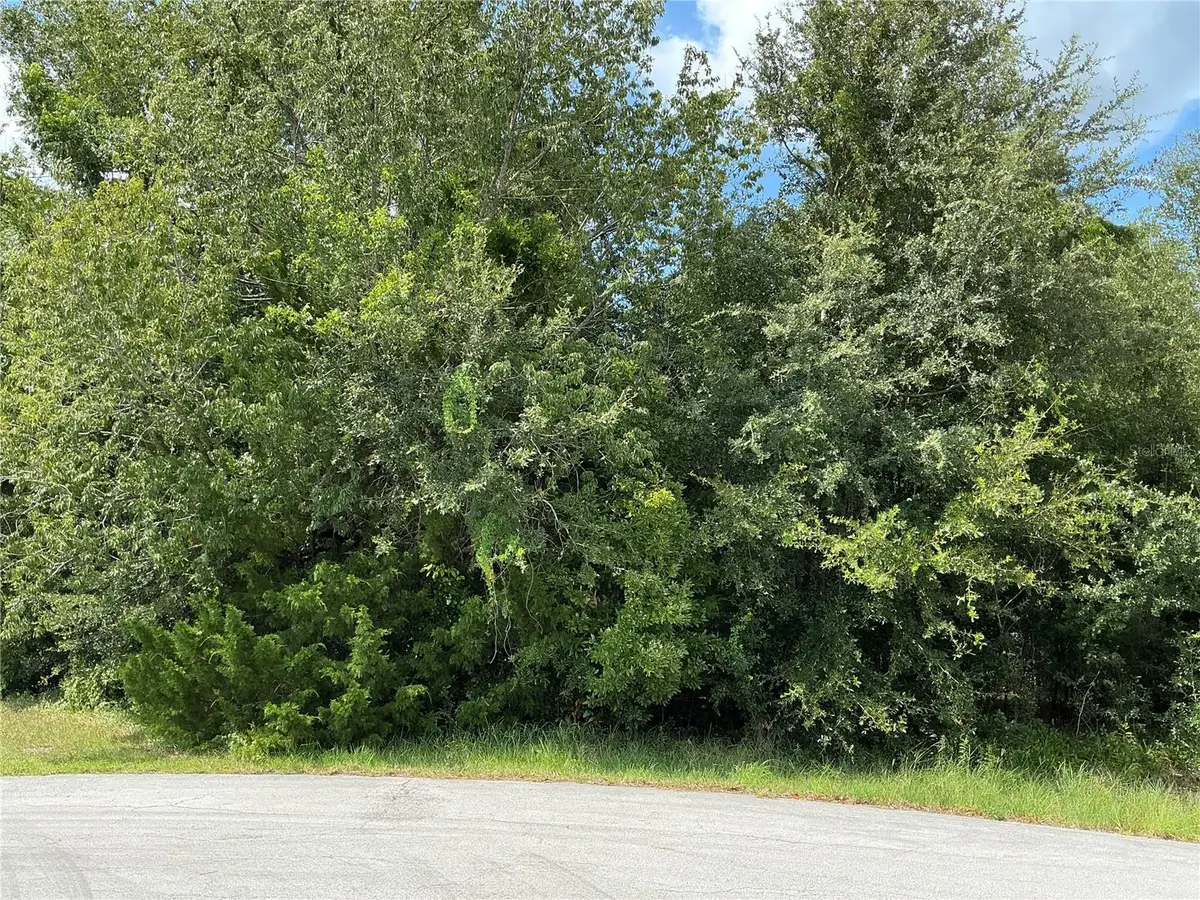 Dogwood Trail Run, Ocala, FL 34472 - #1