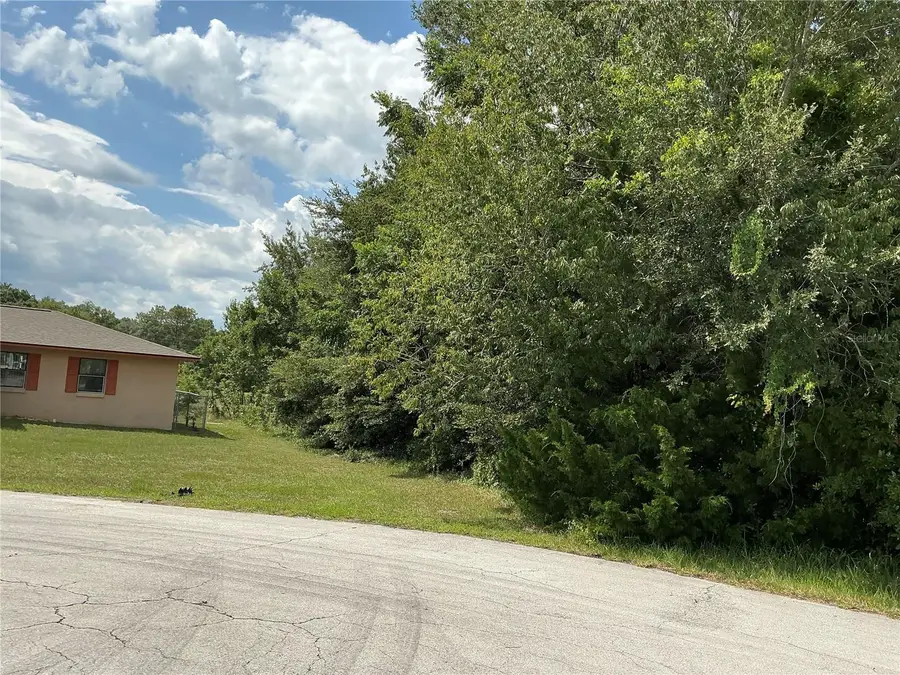 Dogwood Trail Run, Ocala, FL 34472 - #3