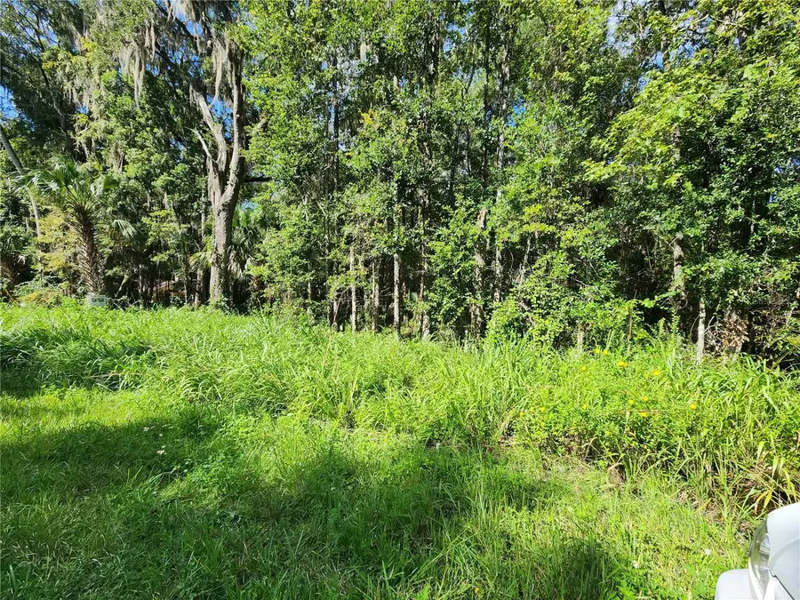00 County Road 329, Micanopy, FL 32667 - #2